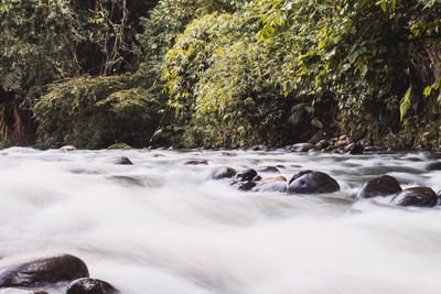 Stream flowing through rocks in forest