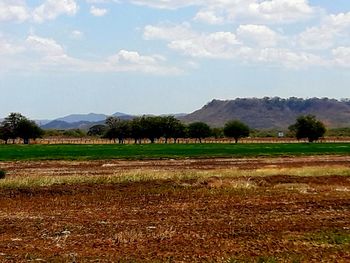 Scenic view of field against sky