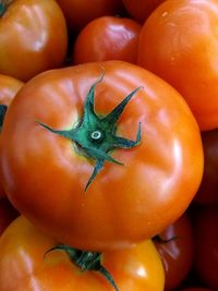 Close-up of orange