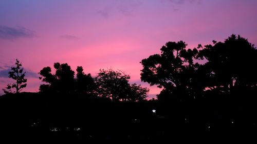 Silhouette trees against romantic sky at sunset