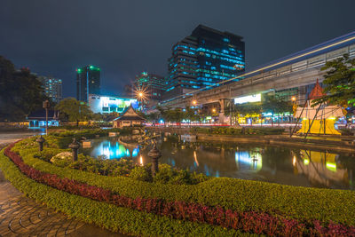 Trees in city at night
