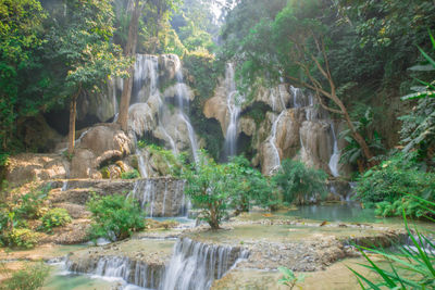 View of waterfall in forest