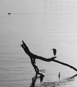 Silhouette people on sea against sky