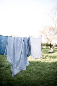 Clothes drying on clothesline