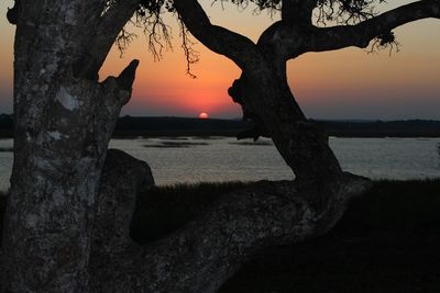 Scenic view of sea at sunset