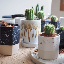 Close-up of cake and potted plant on table