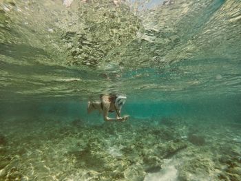 Man swimming in sea