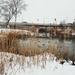 Frozen lake against sky during winter