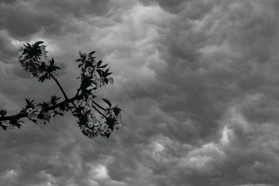 Low angle view of cloudy sky