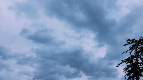 Low angle view of trees against cloudy sky