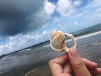 Cropped hand holding shell at beach against cloudy sky