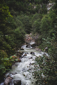 Stream flowing through rocks in forest