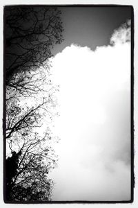 Low angle view of bare trees against cloudy sky