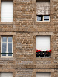 Low angle view of potted plant on wall of building