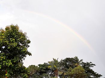 Low angle view of rainbow against sky