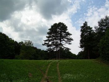 Scenic view of grassy field against cloudy sky