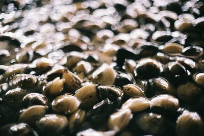 Full frame shot of potatoes