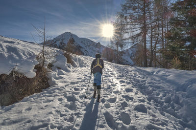 A child uphill with sealskin under his skis on italian alps