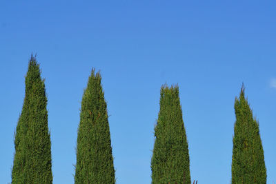 Low angle view of trees against clear blue sky