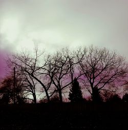 Silhouette trees against sky at sunset