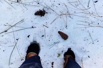 Low section of man standing on snow covered field