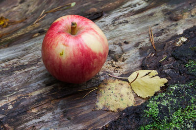 Close-up of apple on tree