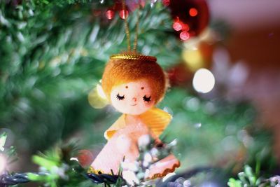 Close-up of christmas tree