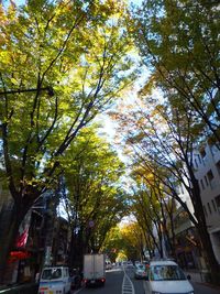 Low angle view of road