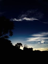 Low angle view of silhouette trees against sky