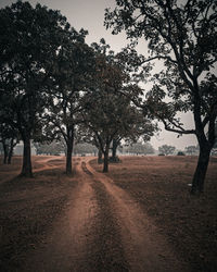 Dirt road amidst trees against sky