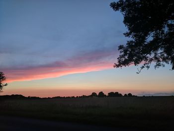 Silhouette trees on field against sky during sunset