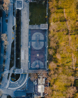 Reflection of trees on building in city