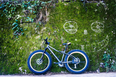 Bicycle leaning on wall covered with moss