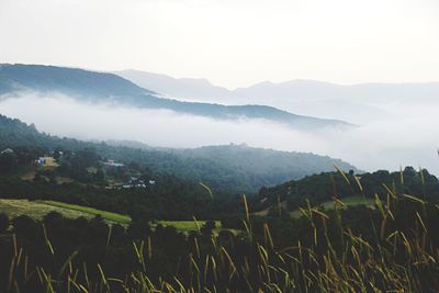 Landscape with mountains in background