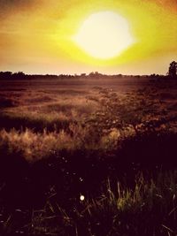 Scenic view of field against sky during sunset
