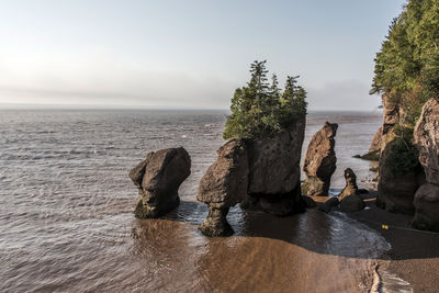 Scenic view of rocks on beach against clear sky