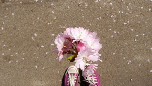 Directly above shot of woman standing on road