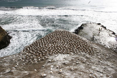 High angle view of sea shore