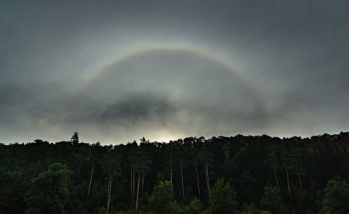 Scenic view of rainbow over trees in forest against sky