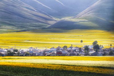 Scenic view of field against sky