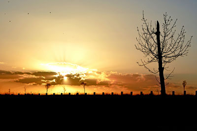 Silhouette bare trees on field against sky at sunset