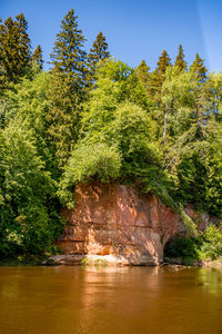 Scenic view of lake by trees in forest against sky