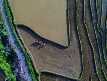 High angle view of beach