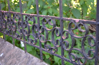 Close-up of rusty metal fence