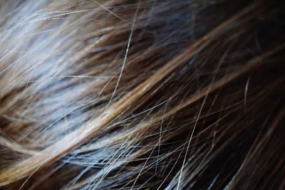 Full frame shot of hair