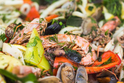 Close-up of fish in plate