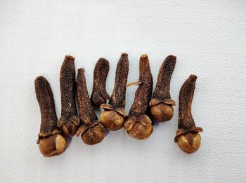 Close-up of coffee beans against white background