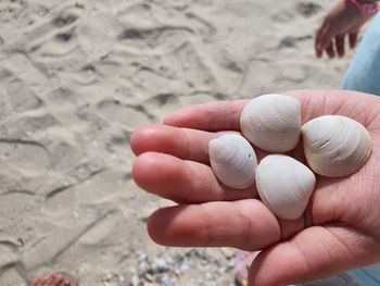 Close-up of hand holding sand