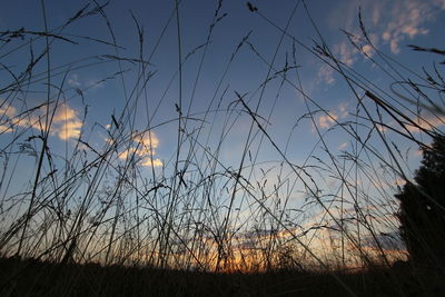 Silhouette field against sky during sunset