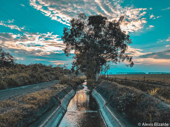 Road amidst trees against sky